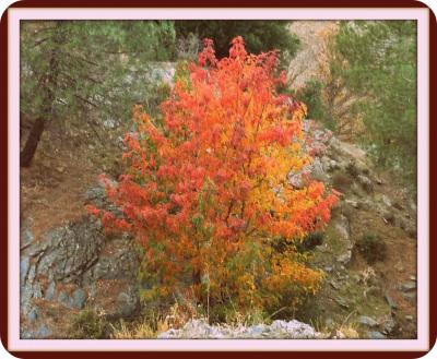 Tarea 3. Fotos retocadas